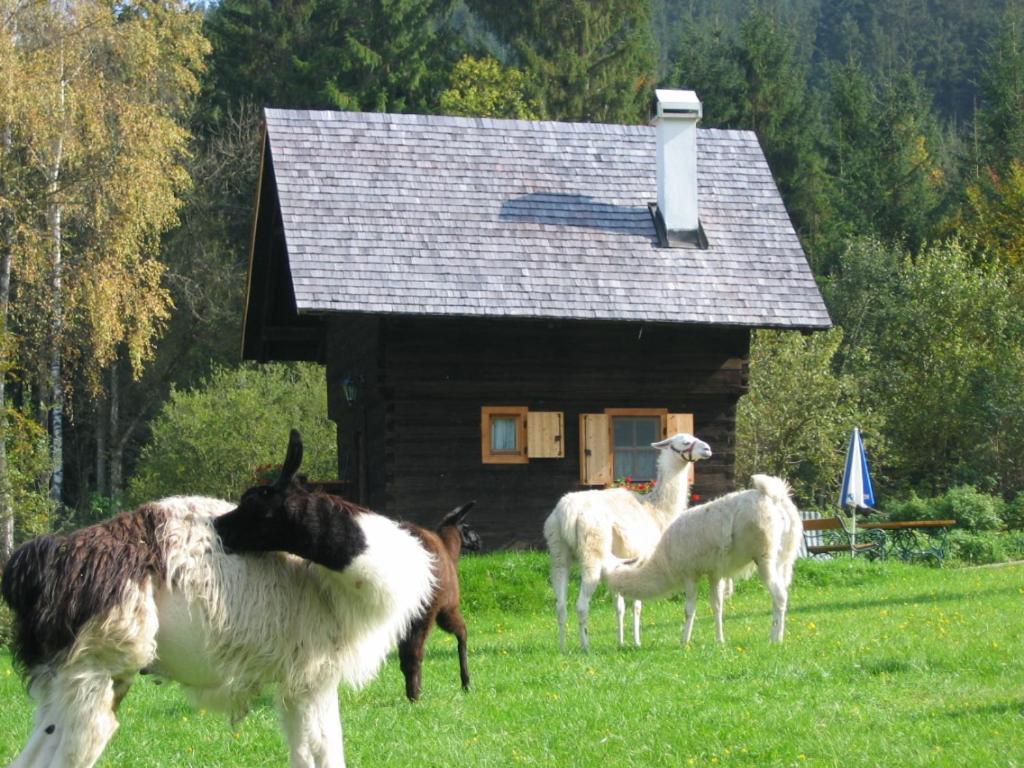 Huette Zum Verlieben Gurk Zewnętrze zdjęcie