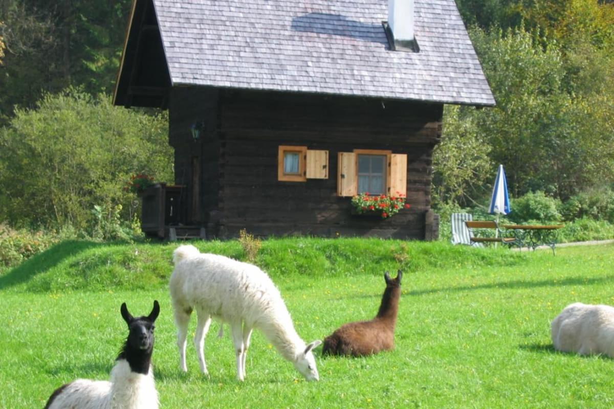 Huette Zum Verlieben Gurk Zewnętrze zdjęcie